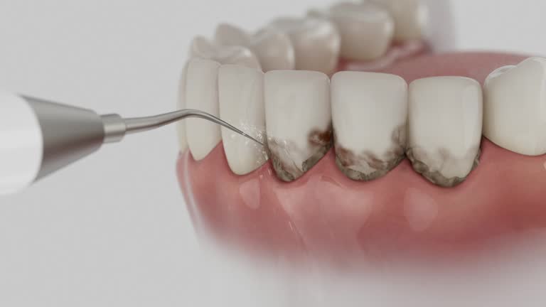 Reliable Dental contractor in Bangor Base, WA by Dentist Open Now